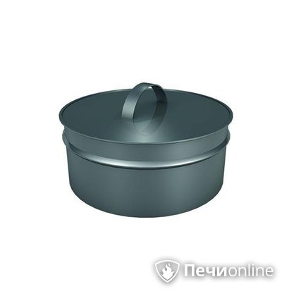 Заглушки Теплов и Сухов Заглушка ревизии Термо-Р 304 0.5 D220(120) в Ростове-на-Дону
