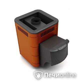 Дровяная банная печь TMF Оса Carbon терракота дверь антрацит в Ростове-на-Дону